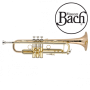 Trompette Bach Sib Stradivarius LR19043B