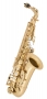 03. Saxophone alto Antigua AS 4240LQCH