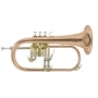 Bugle Bach 501 verni