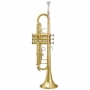  Trompette Bach Sib TR305BP vernie 