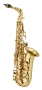 04. Saxophone alto Antigua Pro-One AS6200VLQGH
