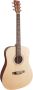 01. Guitare folk SX SD204 